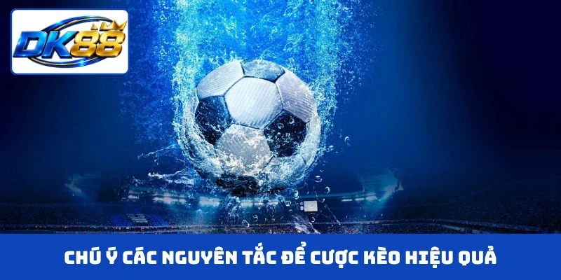 Chú ý các nguyên tắc để cược kèo hiệu quả