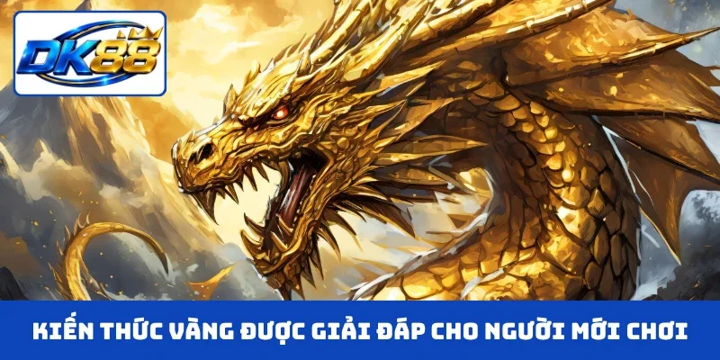 Kiến thức vàng được giải đáp cho người mới chơi