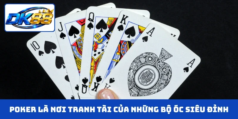 Poker là nơi tranh tài của những bộ óc siêu đỉnh